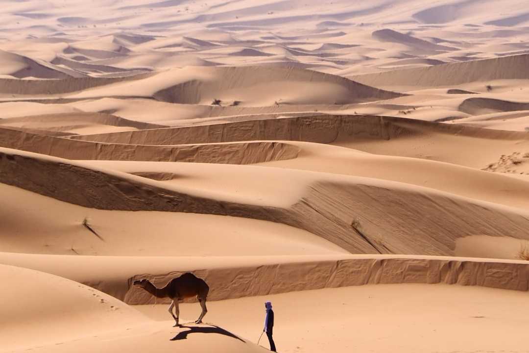 3 Days Tour from Errachidia to Marrakech