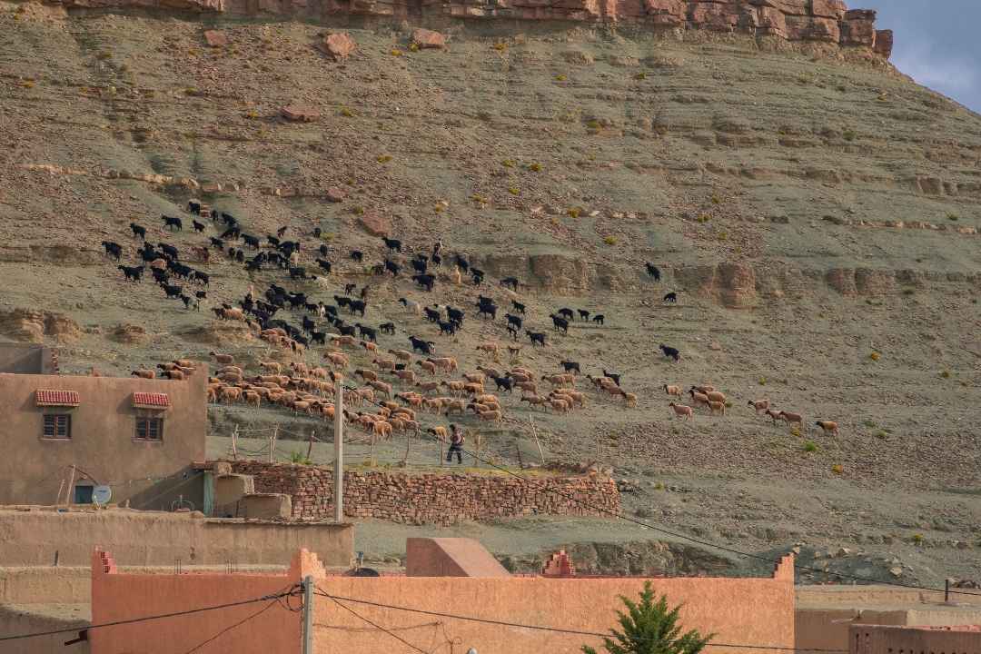 3 Days Tour Fes to Merzouga Desert