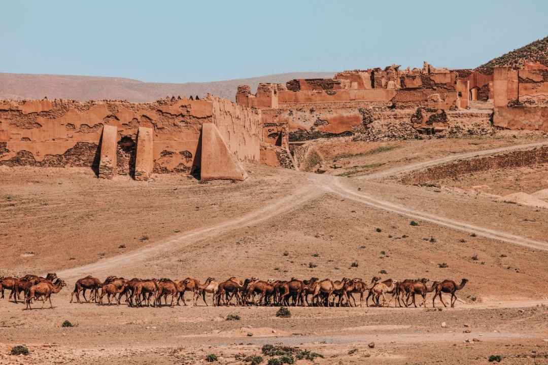 3 Days Tour Fes to Merzouga Desert