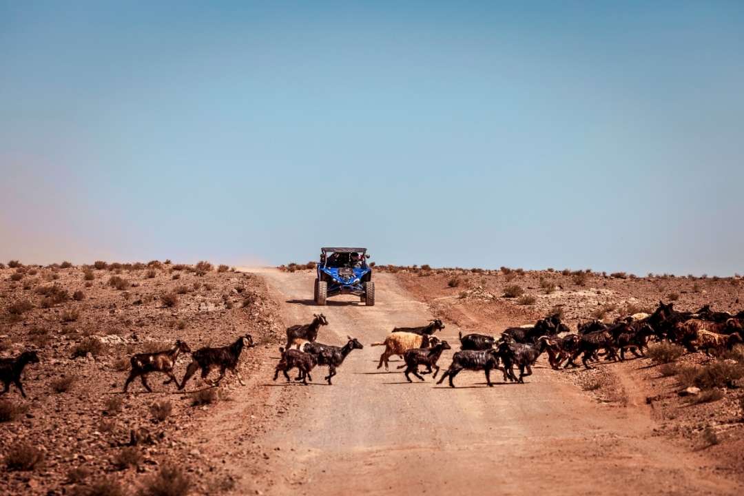 6 Days from Marrakech to Fes Desert Tour