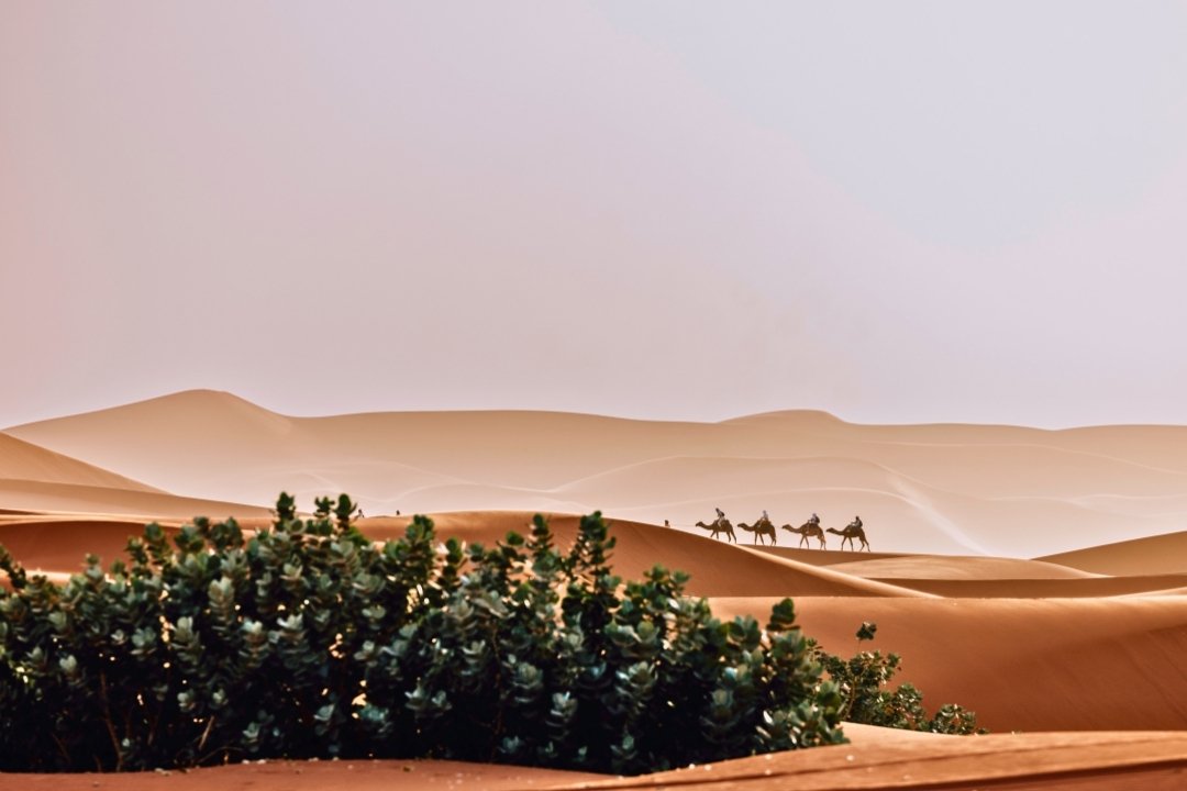 Overnight Camel Trek in Merzouga Desert
